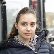 IB, GCSE, English Language and Literature, Maths