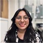 Maestro de apoyo en matemáticas avanzadas