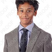 I am a current advanced student studying A-Levels. My lessons would be aimed towards pupils in Y9-11 to prepare them for GCSES