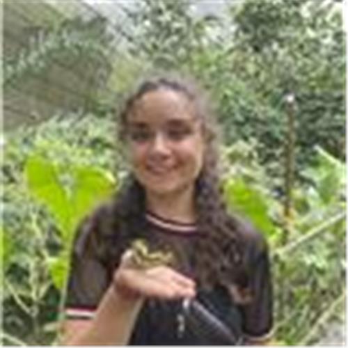 user photo
