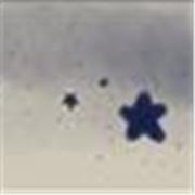 Clases dinámicas de español para principiantes, mejora tu habla y gramática