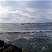 Disponibile per aiuto compiti dalla scuola materna al liceo e università.