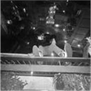 Sono un’artista laureato allo IED, giovane, intraprendente e con una base solita di Design !