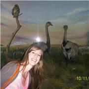 Apoyo escolar personalizado todos los niveles/preparacion para examenes