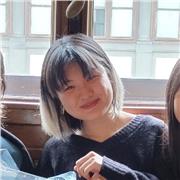 Offro ripetizioni individuali di lingua cinese a ragazzi anche adulti.