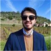 Studente laureato in storia impartisce lezioni di storia, materie umanistiche e giuridiche