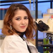 Aprenda Matemática de forma simples e prática: reforço (fundamental e médio), vestibulares e concursos!