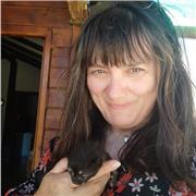 Enfocadas a estudiantes y trabajadores