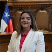 Docente de derecho, con experiencia practica en derecho internacional, genero, derechos humanos e historia