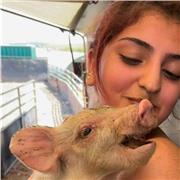 I am an undergraduate student studying Veterinary Medicine, and I am happy to teach Biology to GCSE and A Level students!