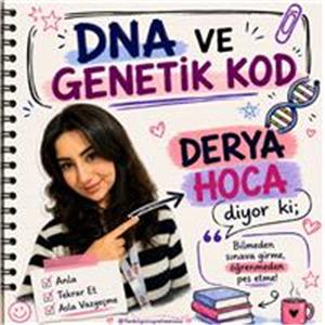 Derya Nur Mentes