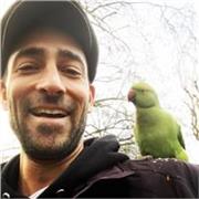 Fun Tutor for French, Spanish, English as a foreign language