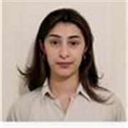 Physics GCSE and A level tutor