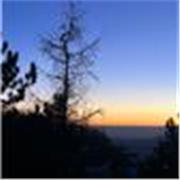 Studia e apprendi l’italiano con un metodo semplice 