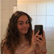 Enseignement des matières, primaire et collège