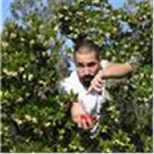 user photo