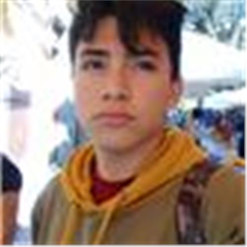 user photo