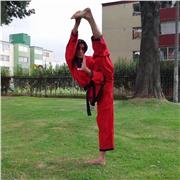 Entrenador deportivo, Maestro de artes marciales y Licenciado en Educación Física