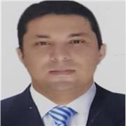 Profesor de ciencias políticas en bachillerato y universidad