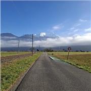 Lair-Lemoine