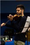 Clases de violín y teoria musical personalizadas - presencial/online