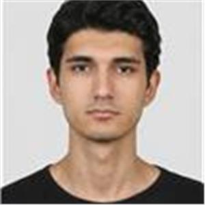 Mert Kuzin