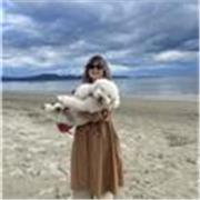 Cerchi un tutor per le ripetizioni? Contattami e iniziamo! 