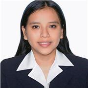 Apoyo escolar para primaria y secundaria con metodología práctica y dinámica