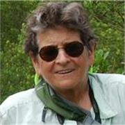 American Professional offering tutoring to students in English conversation and written