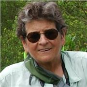 Katherine B. Maynard