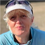 Highly effective online teaching of mathematics