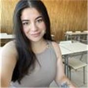 Clases particulares Online, adecuadas al nivel del requeriente