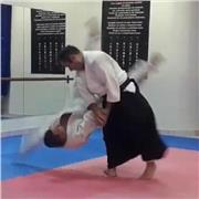 Aprende a contraatacar, aprende Aikido. Experto en Aikido 2DAN - Linea Francia - Cercle Tissier