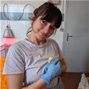 Insegnante di biologia e scienze con laurea magistrale e specializzazione in veterinaria, dà lezioni a domicilio a Pisa e online