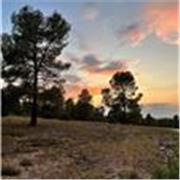 Activa e innovadora, cariñosa e ingeniosa. Esucación Primaria 