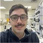 Clases Particulares On Line de Química para Todos los Niveles