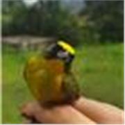 Profesional en biología con mucha vocación