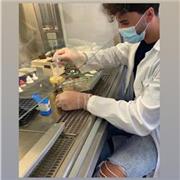 Studente universitario di medicina di laboratorio biomedico offre ripetizioni in chimica organica e inorganica