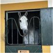 Estudiante de 21 años para ayudar a reforzar y entender tareas a cursos de primaria 