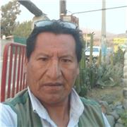 Anibal