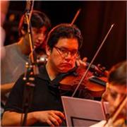 Profesor de violín con estudios formales, doy clases a todo tipo de nivel. De niños a adultos, en el horario que le acomode