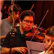 Profesor de violín con estudios formales, doy clases a todo tipo de nivel. De niños a adultos, en el horario que le acomode
