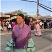 Estudiante de fisioterapia, con experiencia dando clases a niños de primaria. 
Podría dar online y presencial. 
