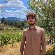 Recuperi Estivi con Laureando in Matematica