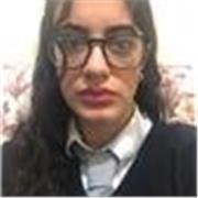English tutor teaching GCSE level students