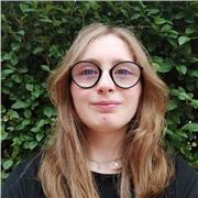 Professeur particulier d'anglais propose des cours d'anglais de la primaire à la terminale.