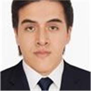 Profesor que imparte clases de Historia del Arte