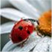 Je suis un professeur expérimenté qui propose des cours 3