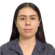 Profesional con conocimientos en Matemáticas, Física y Programación