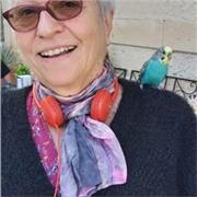 Prof bilingue français-anglais à la retraite propose des cours de la 6e aux adultes